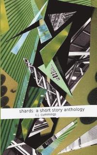 bokomslag Shards: A Short Story Anthology