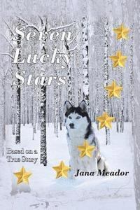bokomslag Seven Lucky Stars