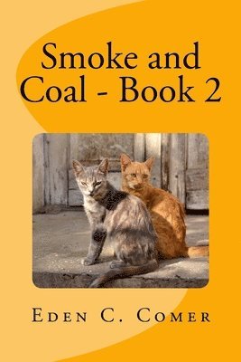 bokomslag Smoke and Coal Book 2