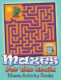 bokomslag Mazes For The Brain