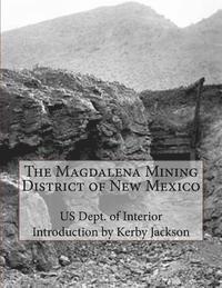 bokomslag The Magdalena Mining District of New Mexico