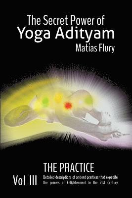 bokomslag The Secret Power Of Yoga Adityam Vol 3 The Practice: Mudras and Pranayam