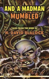 bokomslag And a Madman Mumbled: Tales from the Mind of H. David Blalock