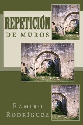 bokomslag Repetición de muros