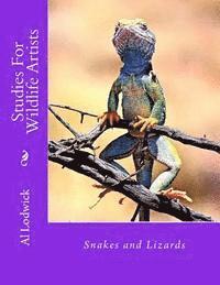 Snakes and Lizards: Studies For Wildlife Artista 1