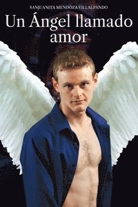 bokomslag Un Angel Llamado Amor