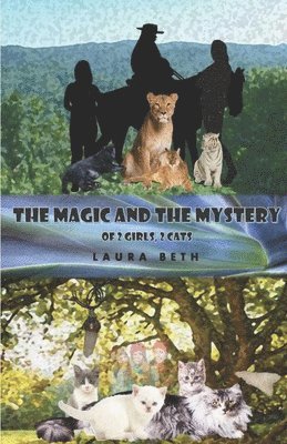 The Magic And The Mystery 1