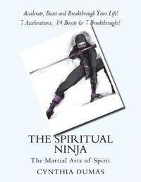 bokomslag The Spiritual Ninja: Martial Arts of Spirit