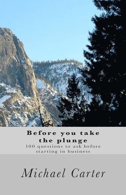 Michael Carter - Before you take the plunge: 100 questions to ask before starting in business, Häftad