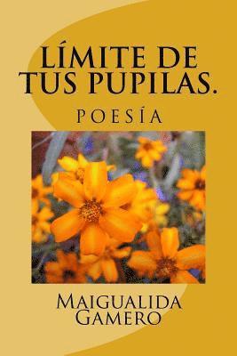 Límite de tus pupilas: Poesía 1