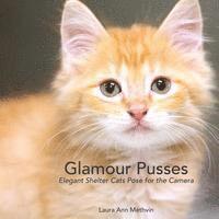 Glamour Pusses 1