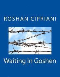 Waiting In Goshen 1