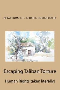 bokomslag Escaping Taliban Torture: Human Rights taken literally!