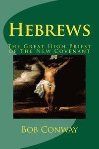 bokomslag Hebrews: The Great High Priest of The New Covenant