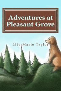 bokomslag Adventures at Pleasant Grove
