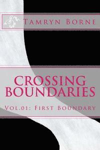 bokomslag Crossing Boundaries