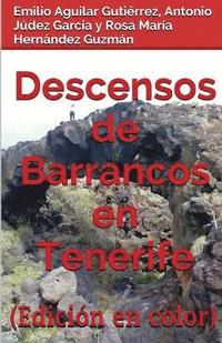 bokomslag Descensos de barrancos en Tenerife (Edicin en Color)