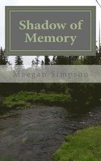 bokomslag Shadow of Memory: Secrets of the National Parks