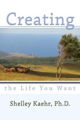 bokomslag Creating the Life You Want