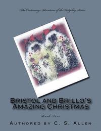 bokomslag Bristol and Brillo's Amazing Christmas: The Hedgehog Sisters