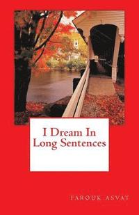 bokomslag I Dream In Long Sentences