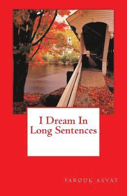 I Dream In Long Sentences 1