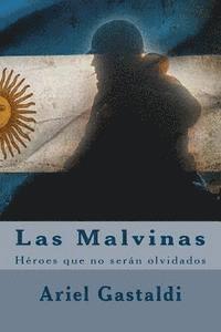 bokomslag Las Malvinas: Héroes y caídos que no serán olvidados