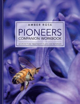 Amber Rose - Pioneers Companion Workbook: Acupuncture Treatment Plans and Pathways, Häftad