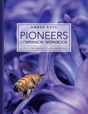 Pioneers Companion Workbook: Acupuncture Treatment Plans and Pathways 1