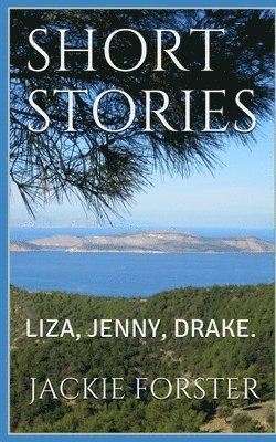 bokomslag Short Stories: Liza, Jenny, Drake