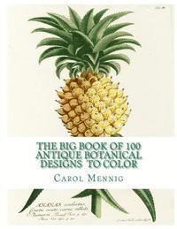 bokomslag The Big Book of 100 Botanical Designs to Color