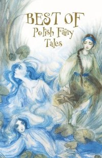 bokomslag Best of Polish Fairy Tales