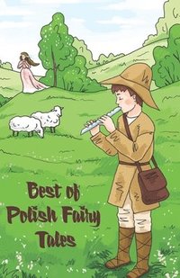 bokomslag Best of Polish Fairy Tales