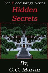 bokomslag Hidden Secrets