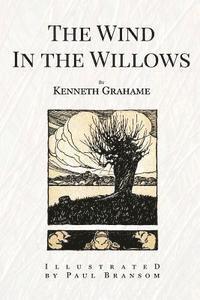 bokomslag The Wind In the Willows: Illustrated