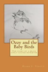 Ozzy and the Baby Birds 1