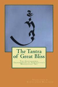 bokomslag The Tantra of Great Bliss: The Guhyagarbha Transmission of Vajrasattva's Magnificent Sky
