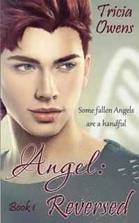 bokomslag Angel: Reversed