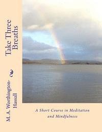 bokomslag Take Three Breaths: A Short Course in Meditation and Mindfulness