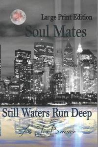 bokomslag Soul Mates