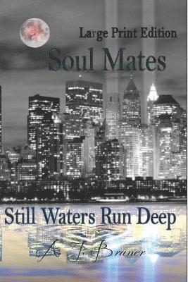 bokomslag Soul Mates