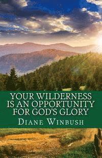 bokomslag Your Wilderness is An Opportunity for God's Glory: Victories living