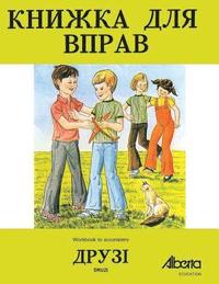 bokomslag Druzi Workbook