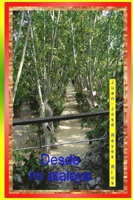 Juan-José Reyes Ríos, Juan-José - Desde mi atalaya, Häftad