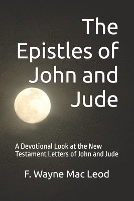 bokomslag The Epistles of John and Jude