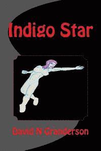 bokomslag Indigo Star