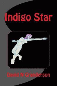 Indigo Star 1