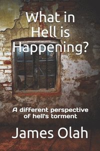 bokomslag What in Hell is Happening?: A different perspective of hell's torment