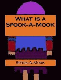 bokomslag What is a Spook-A-Mook