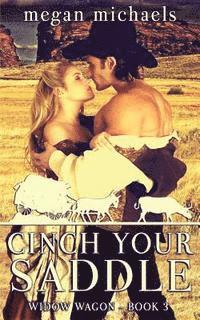 Cinch Your Saddle 1